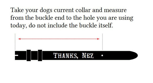 Personalized Western Leather Dog Collar